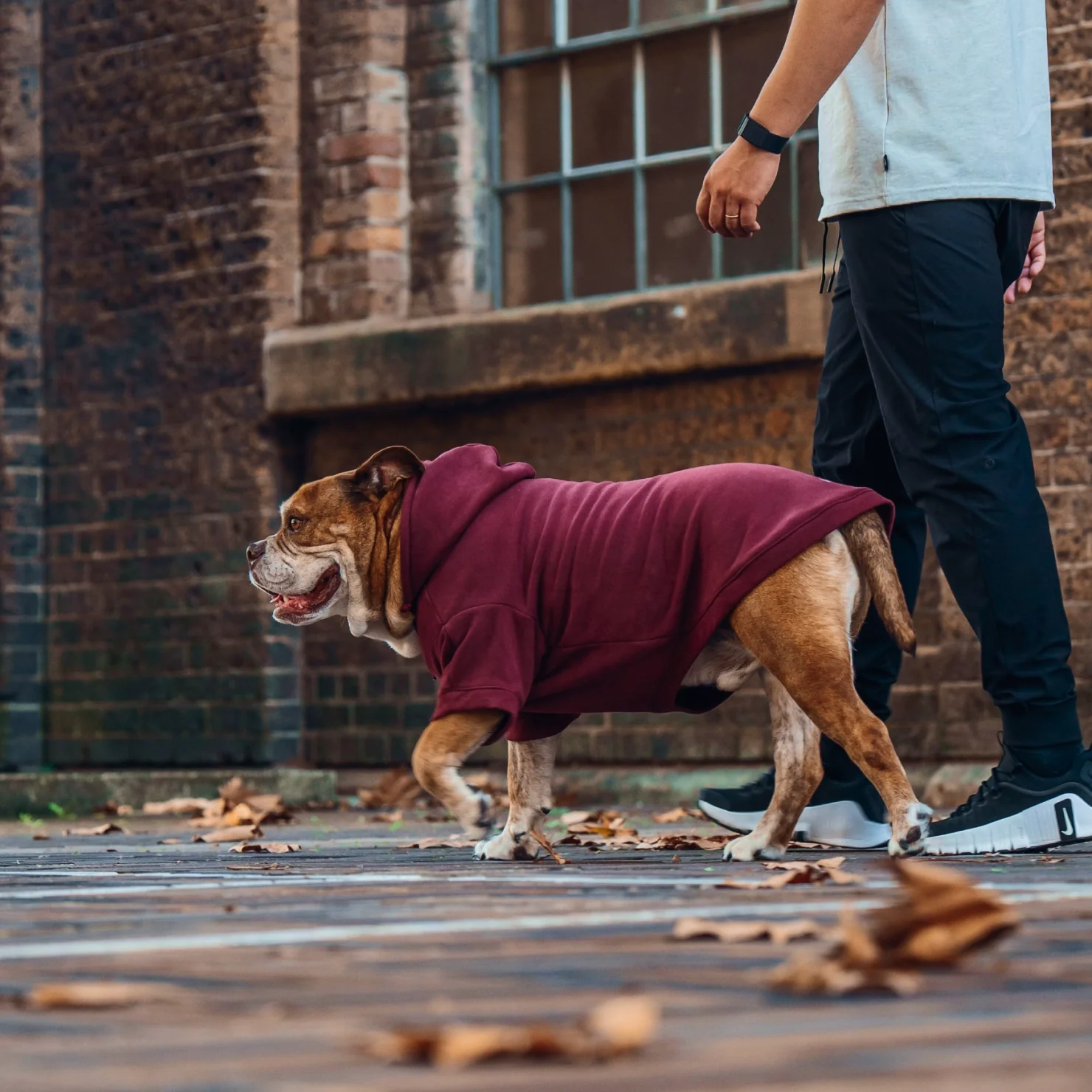 Signature Dog Hoodie - Maroon - Image 7