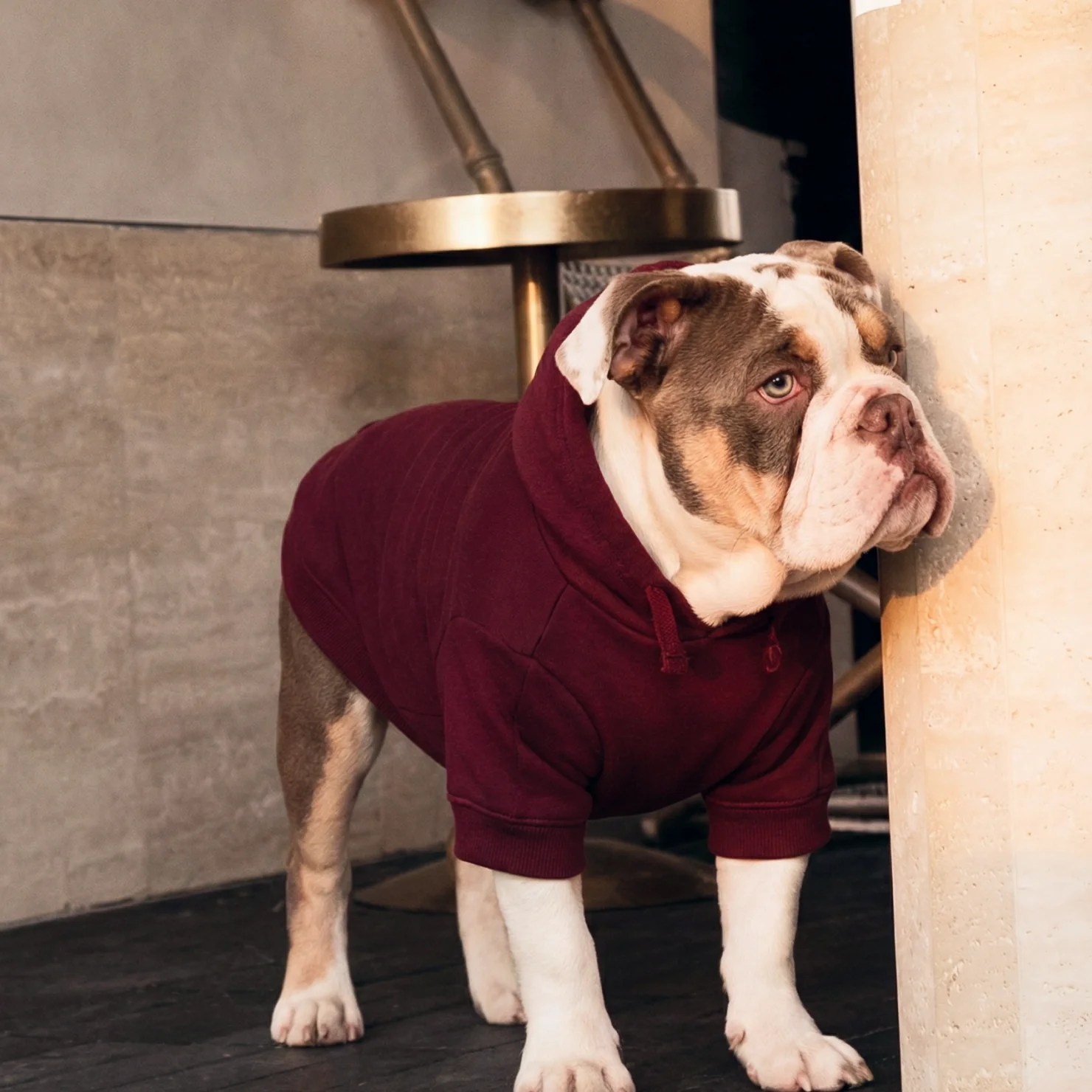 Signature Dog Hoodie - Maroon - Image 8