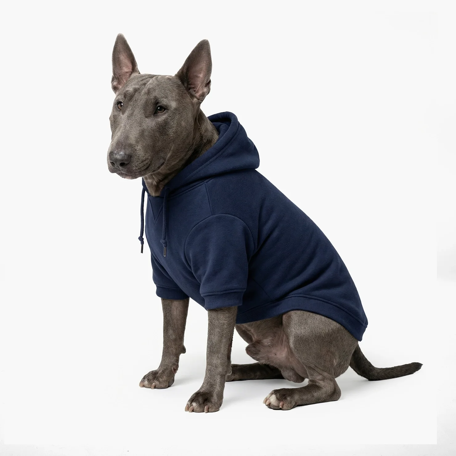 Signature Dog Hoodie - Navy Blue - Image 4