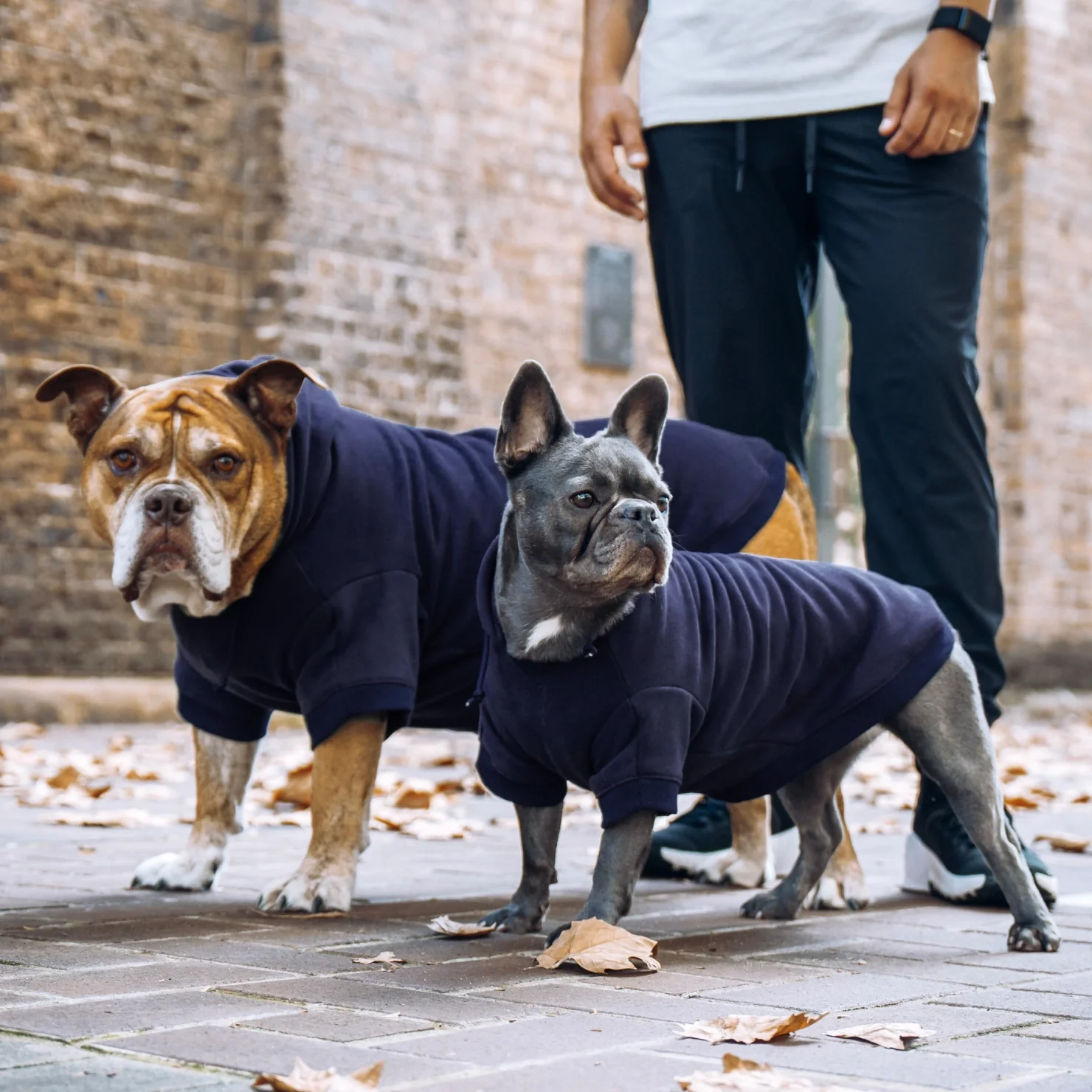 Signature Dog Hoodie - Navy Blue - Image 7